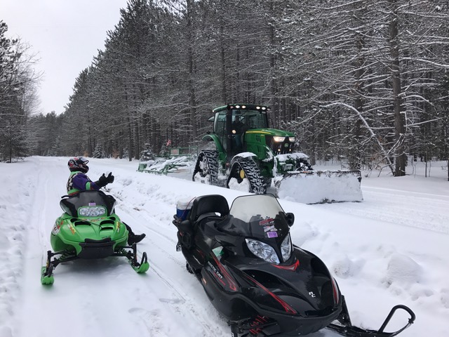 Gaylord groomer out on Friday march 3