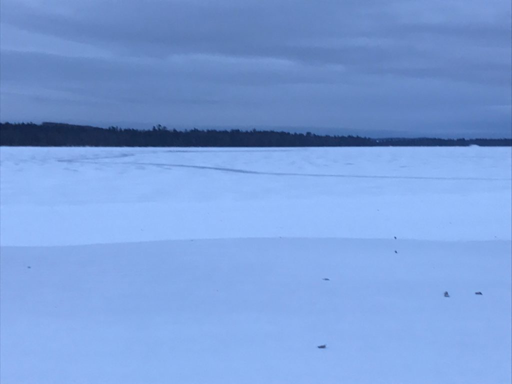 lake margrethe already skimmed over with ice
