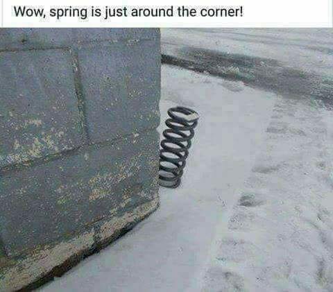 spring