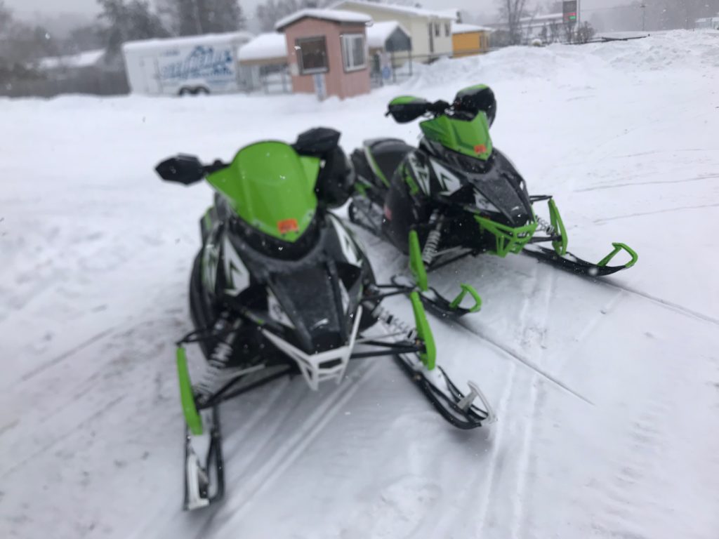 Wednesday Cat Riders