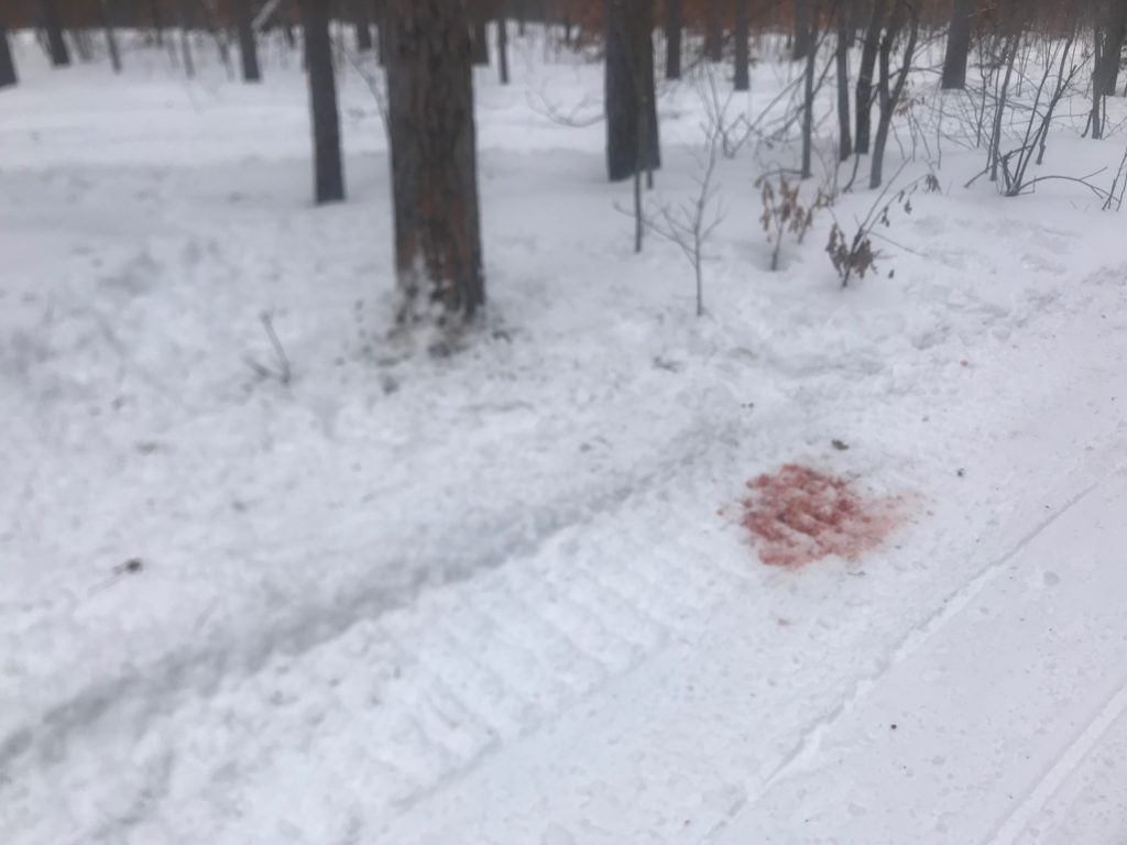 accident site, trail 679, sunday morning